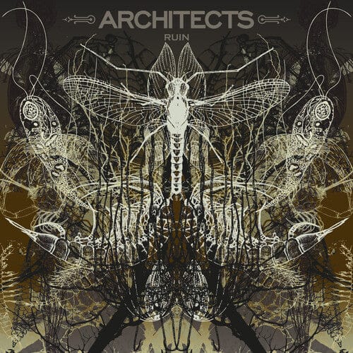 Architects - Ruin (Limited Edition, Picture Disc Vinyl)