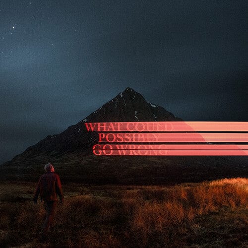 Dominic Fike - What Could Possibly Go Wrong (Parental Advisory Explicit Lyrics, 140 Gram Vinyl, Gatefold LP Jacket, Poster)