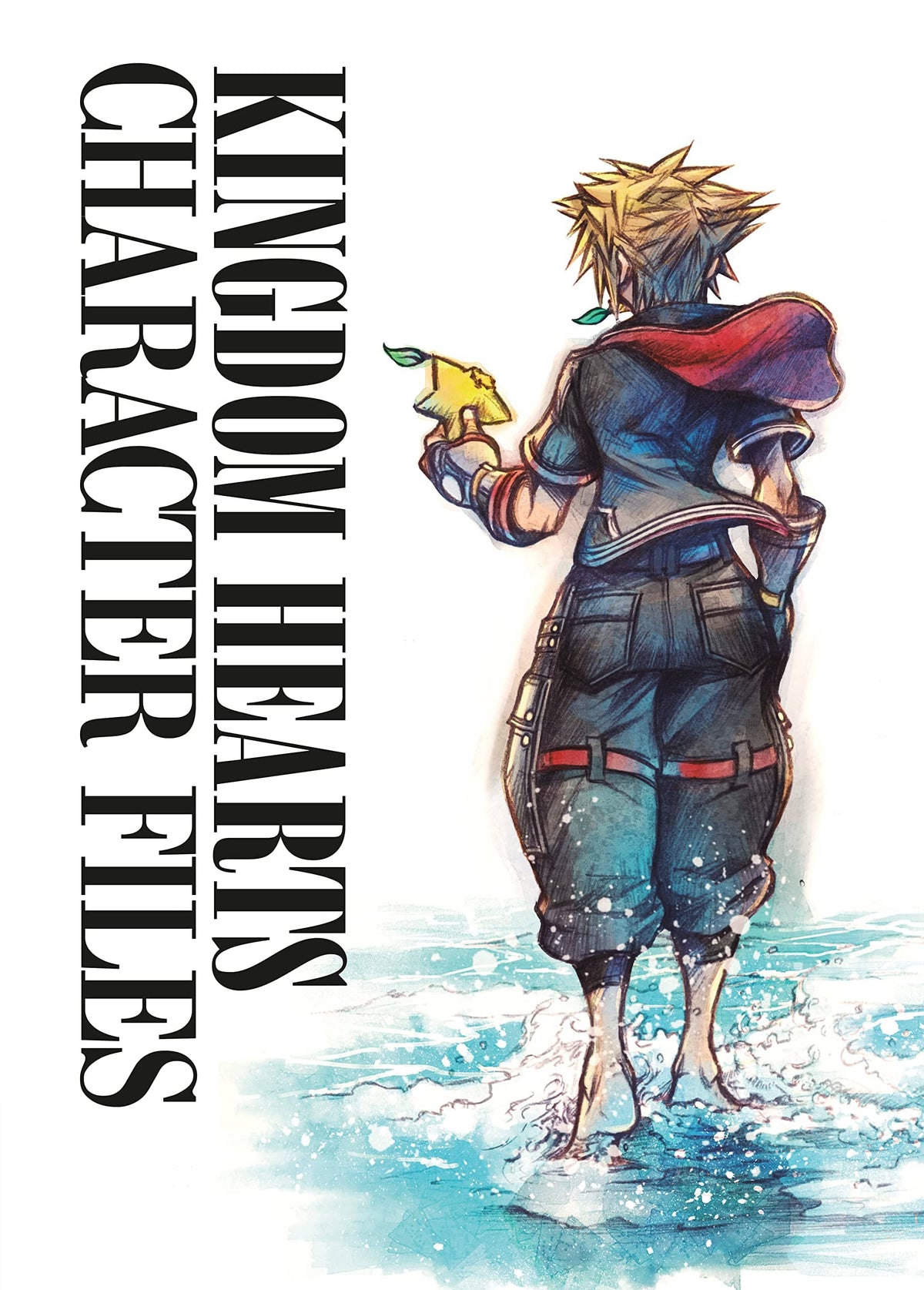 Kingdom Hearts Character Files HC