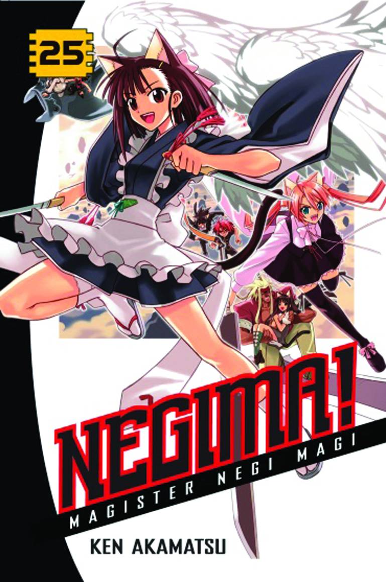 Negima GN Vol 25 (MR)