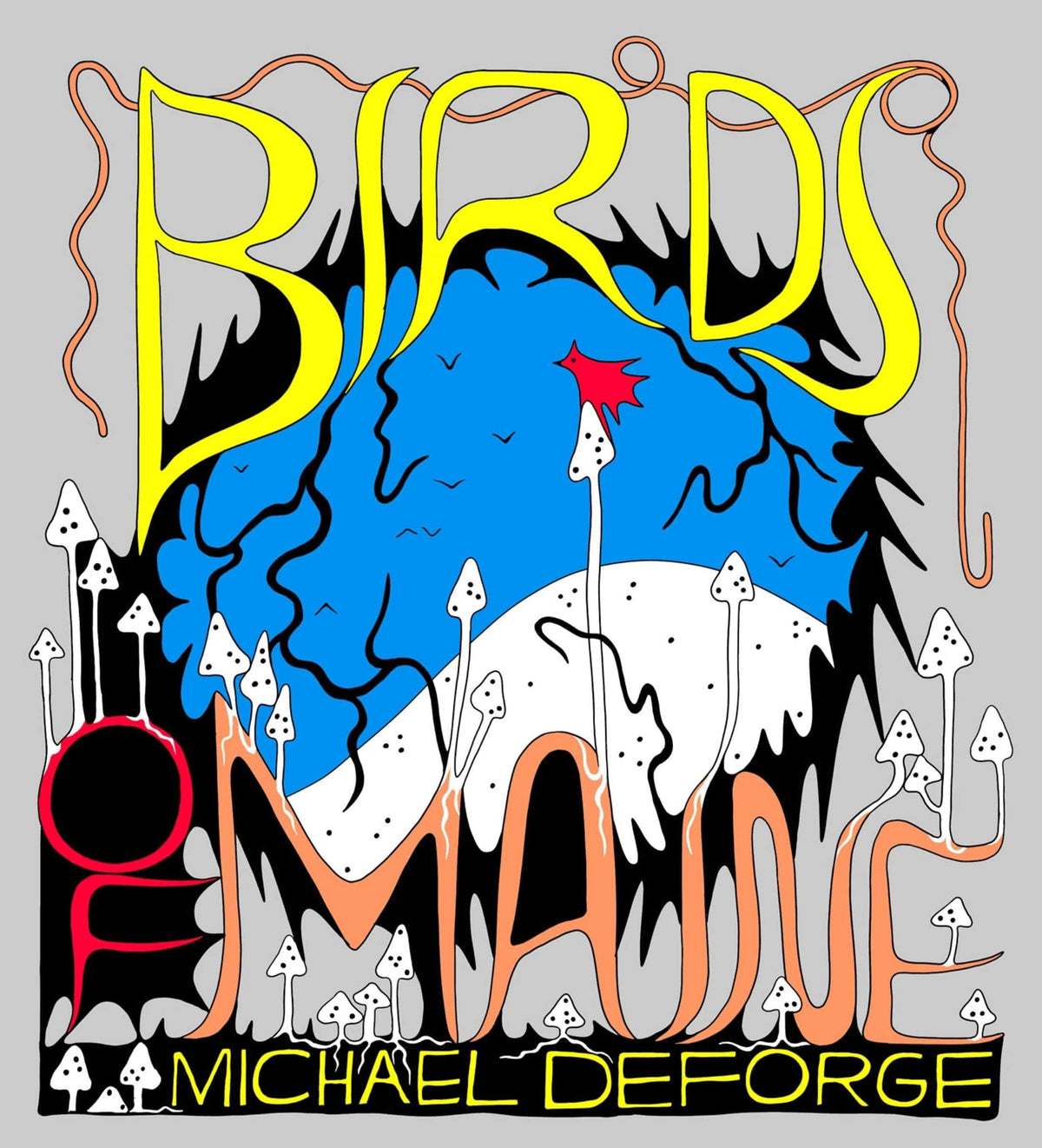 Birds Of Maine HC (MR)