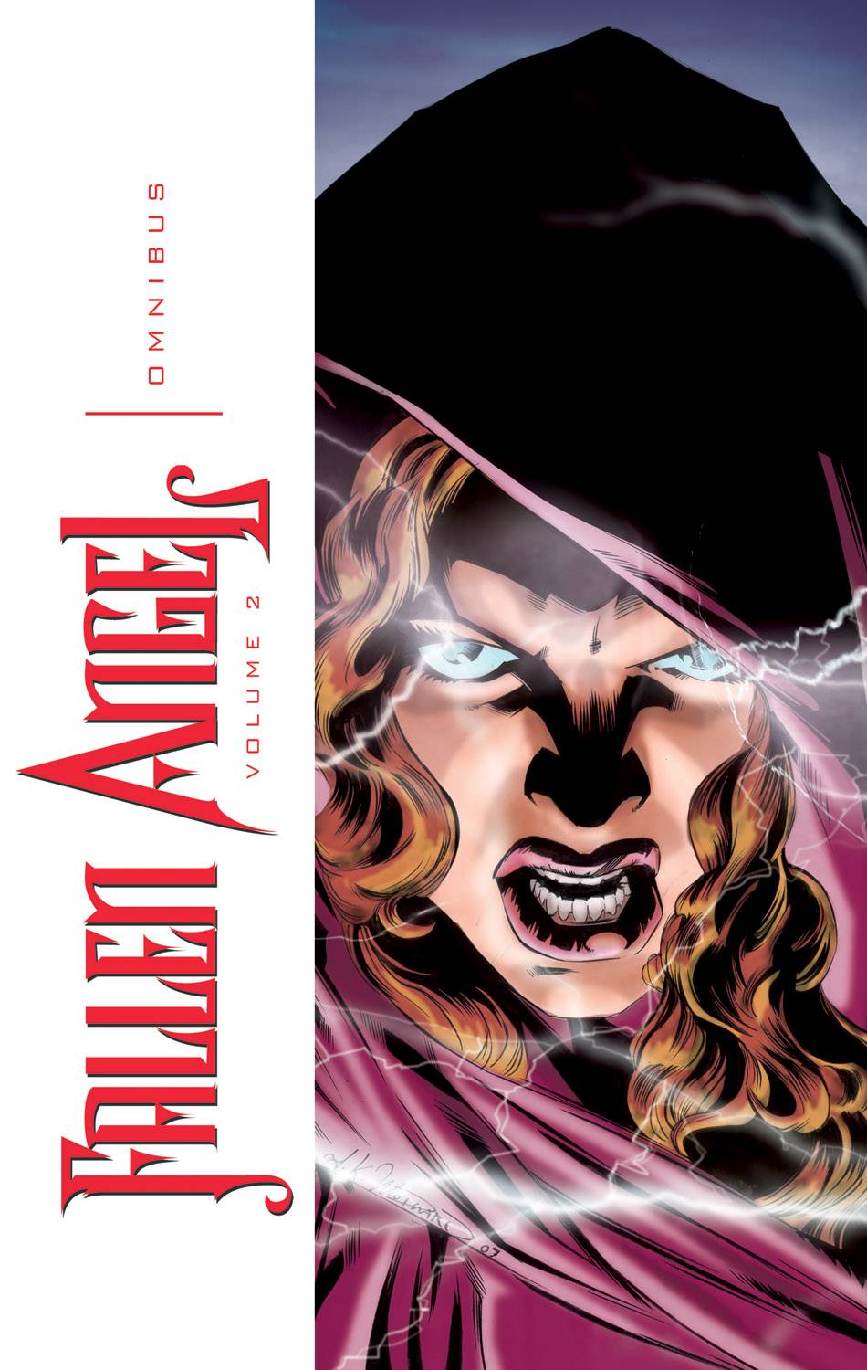 Fallen Angel Omnibus SC Vol 02