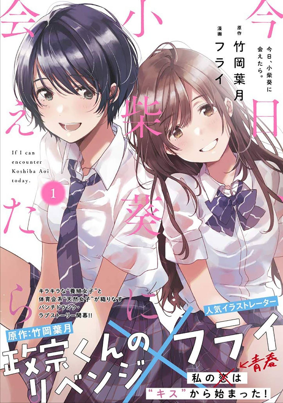 Chasing After Aoi Koshiba GN Vol 01 (MR)