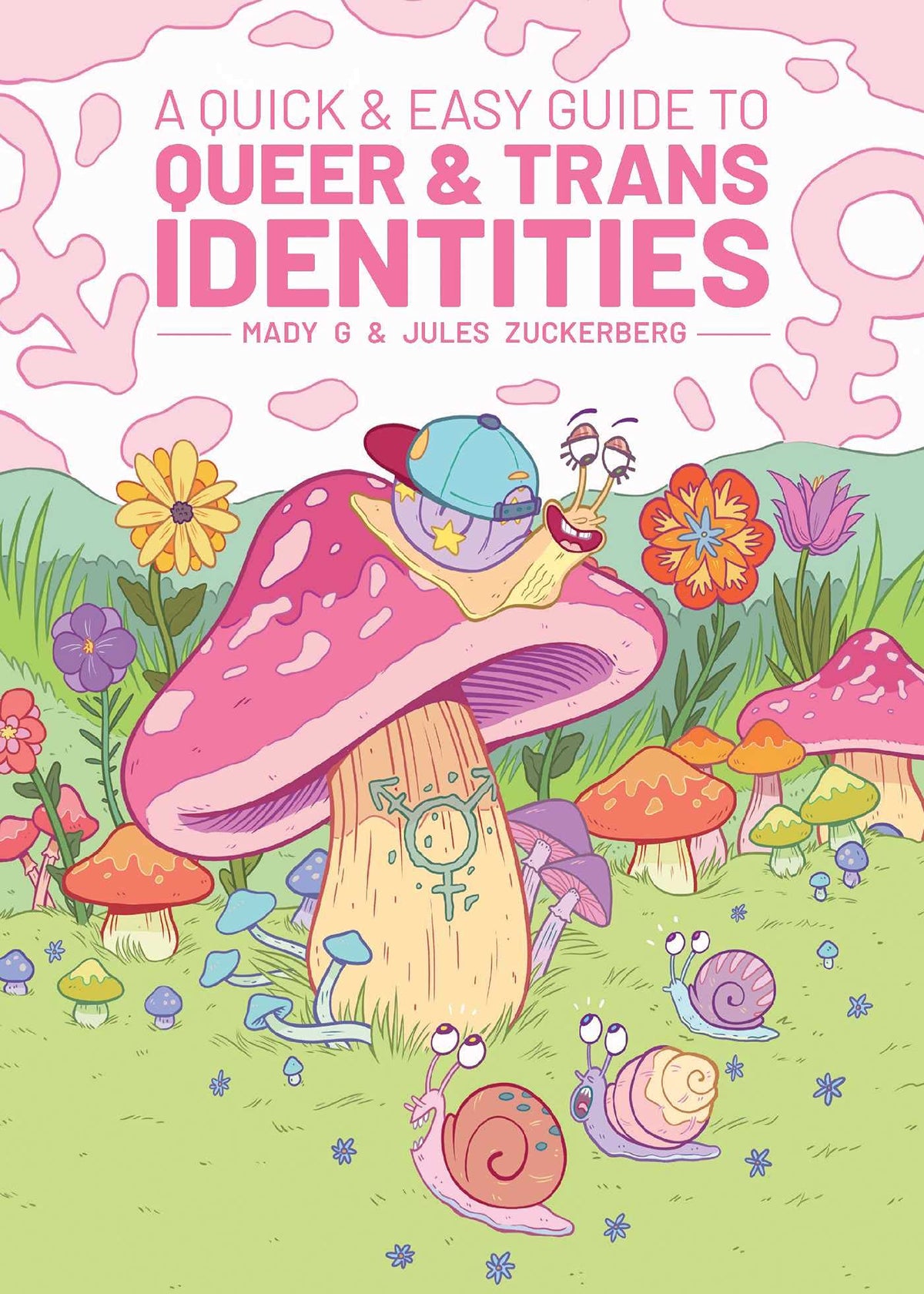 A Quick & Easy Guide To Queer & Trans Identities TP New Printing