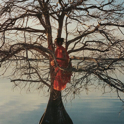 Gatlin - The Eldest Daughter (Parental Advisory Explicit Lyrics, Gatefold LP Jacket)