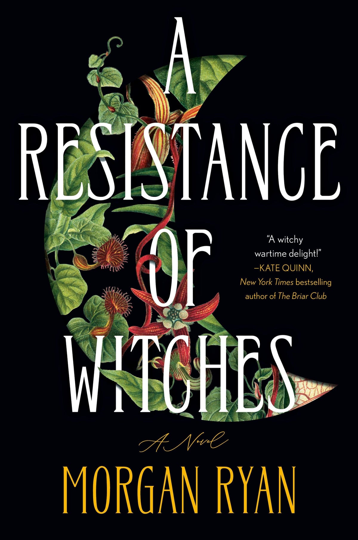 A Resistance of Witches HC