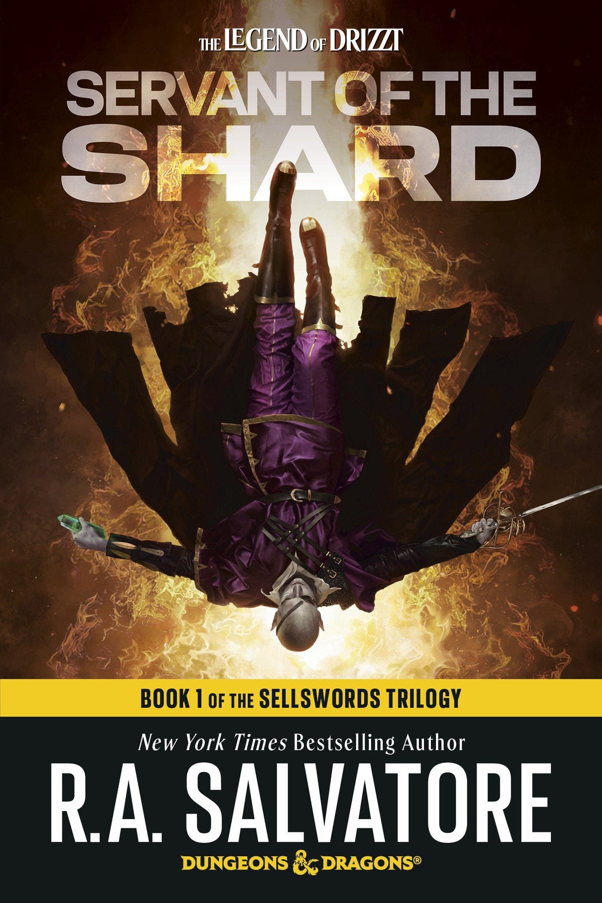 Servant of the Shard: Dungeons & Dragons TP