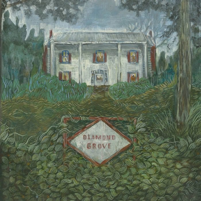Weirs - Diamond Grove Vinyl