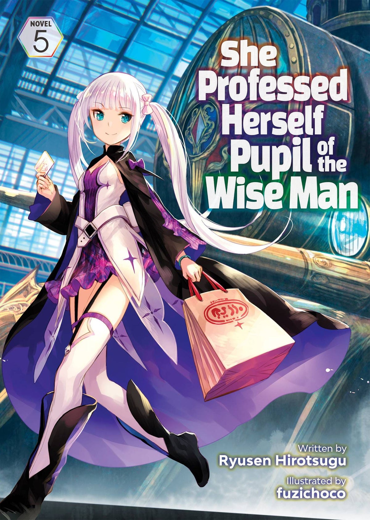 She Professed Herself Pupil Of Wise Man Light Novel Vol 05 (