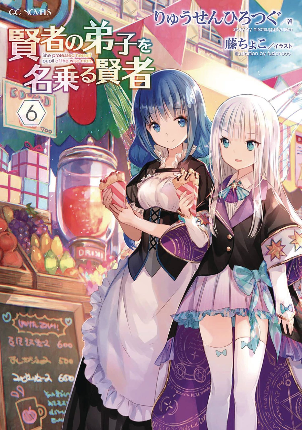She Professed Herself Pupil Of Wise Man Light Novel Vol 06 (