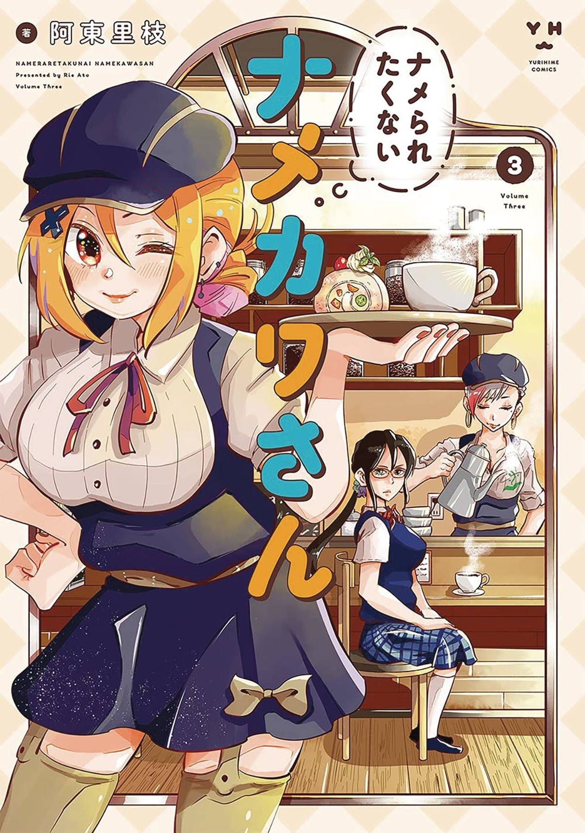 Namekawa San Wont Take A Licking GN Vol 03 (MR)