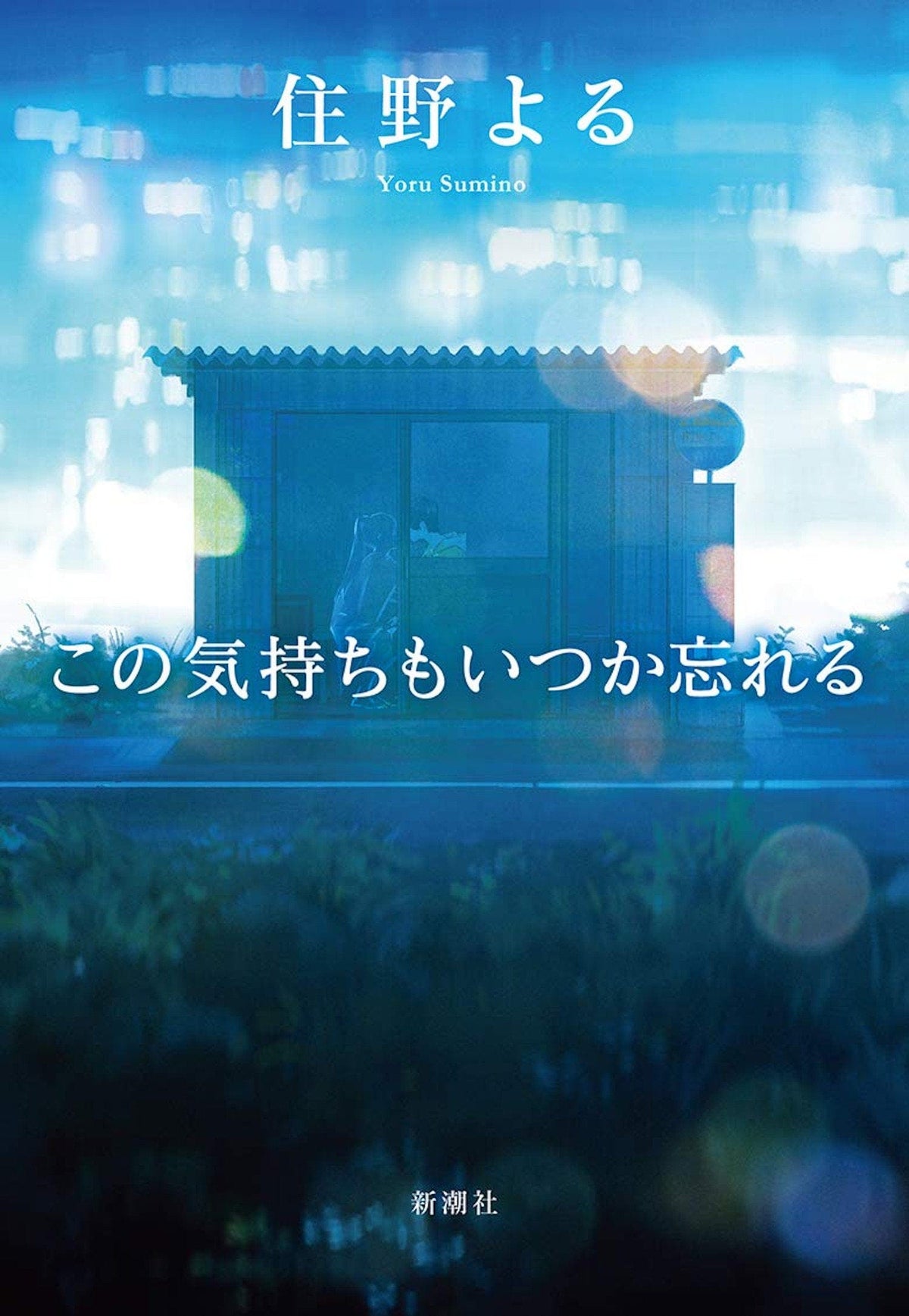 I Will Forget This Feeling Someday SC Novel Vol 01