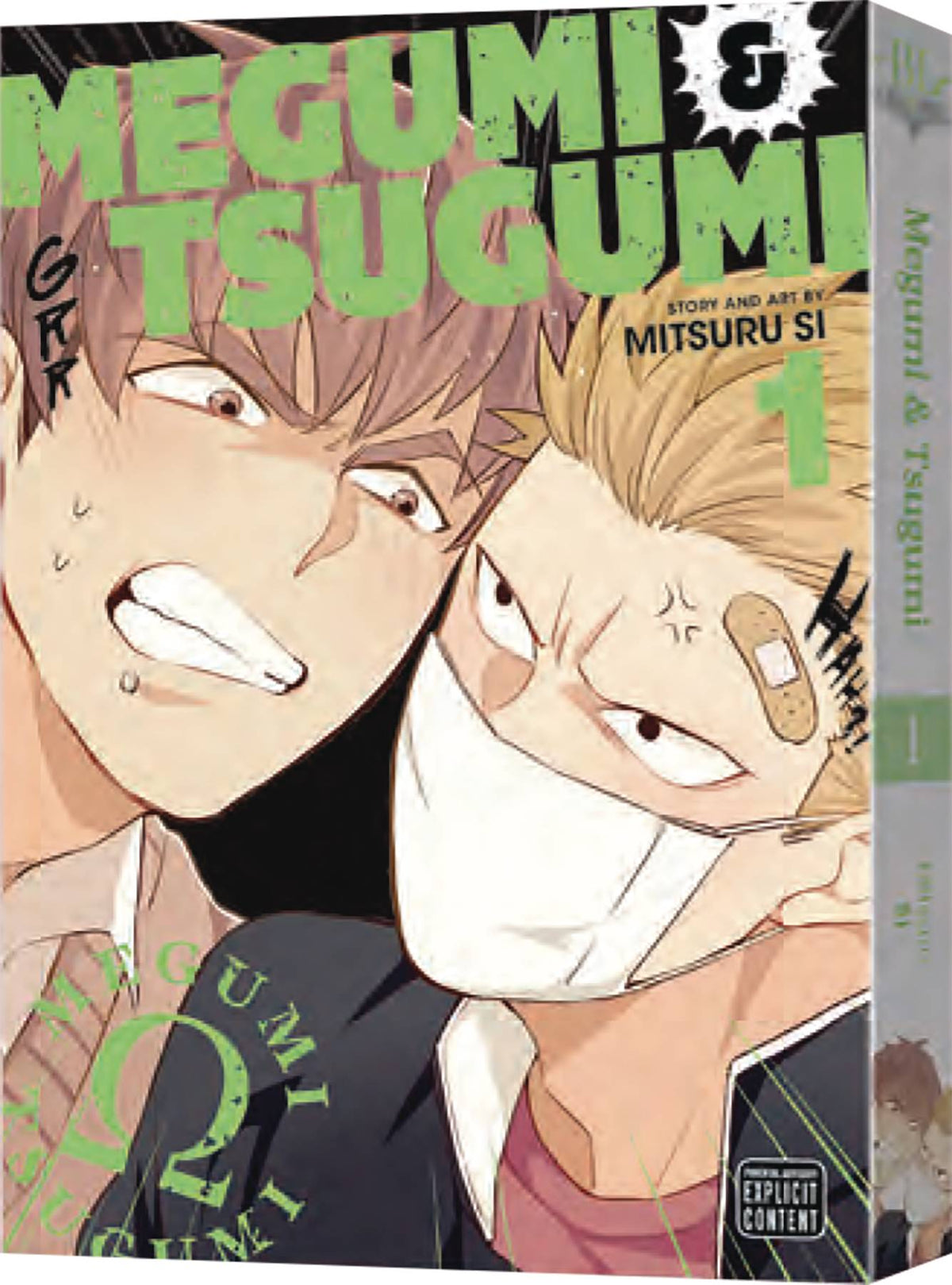 Megumi & Tsugumi GN Vol 01