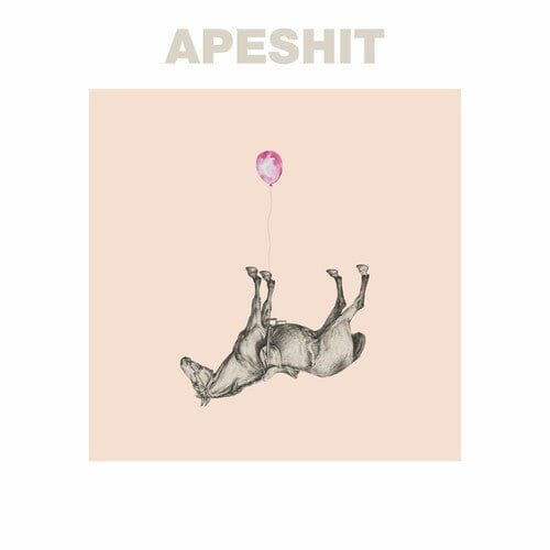 Sound Of Animals Fighting - Apeshit