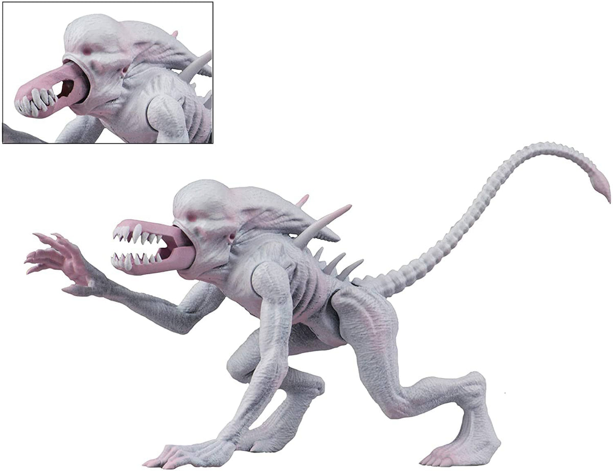 Neca: Aliens - Neomorph Alien