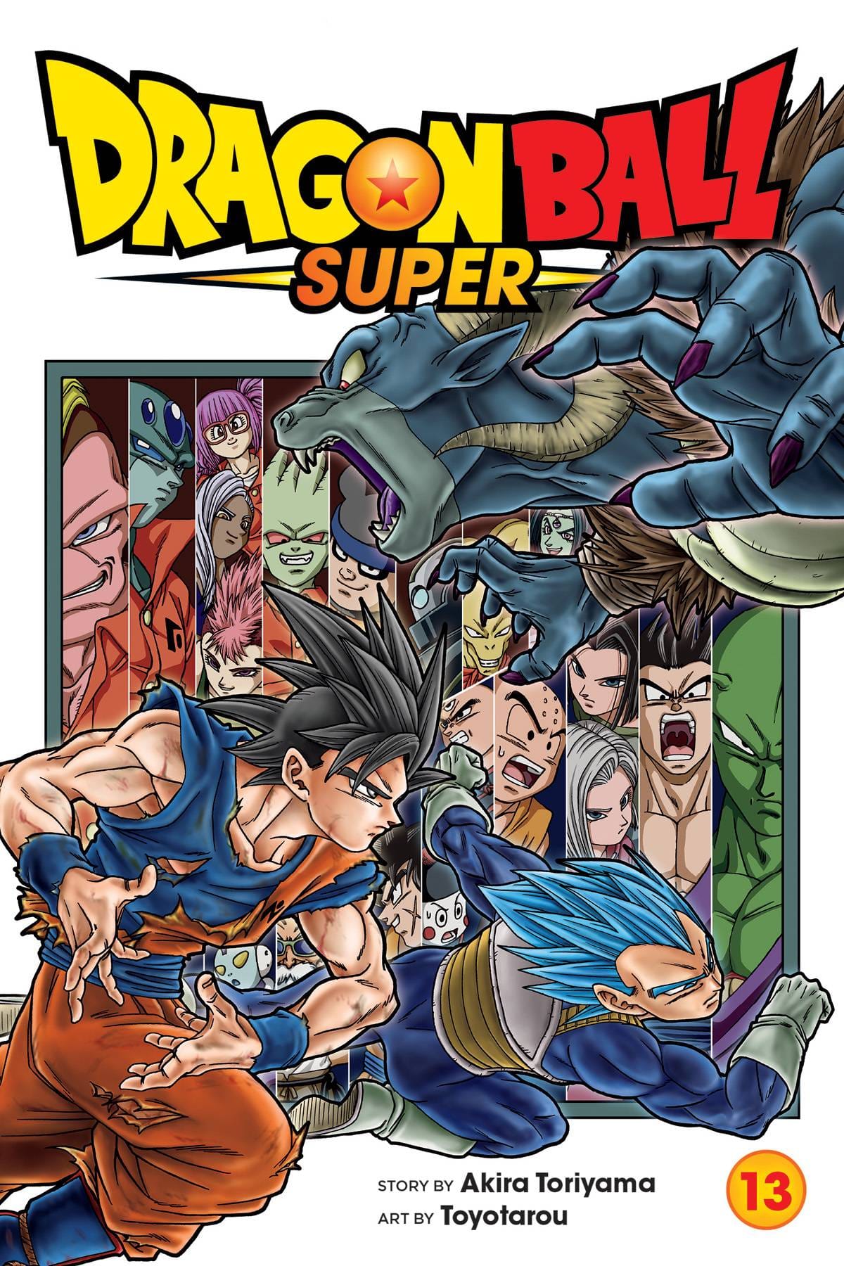 Dragon Ball Super GN Vol 13