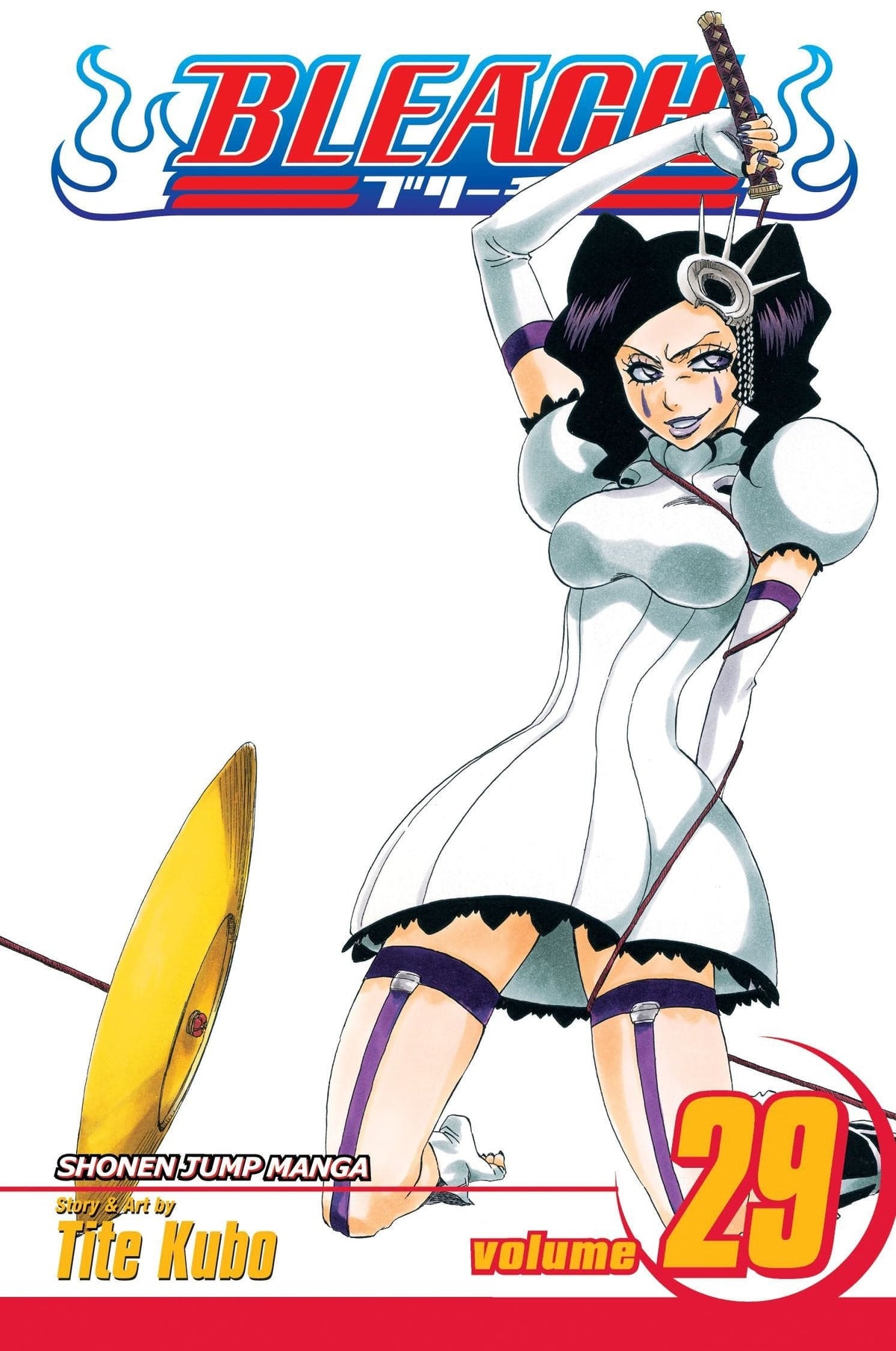Bleach GN Vol 29