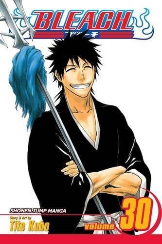 Bleach GN Vol 30