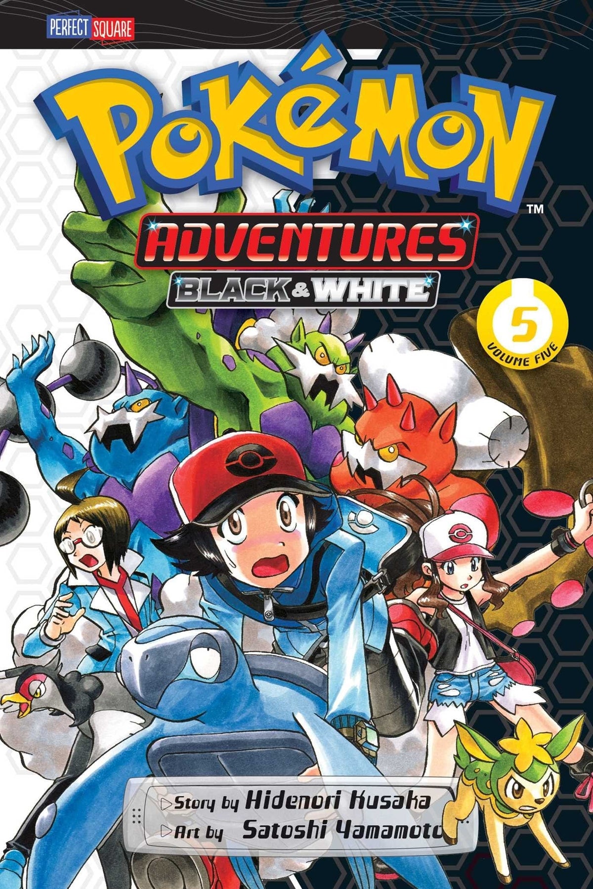 Pokemon Adv Black & White GN Vol 05
