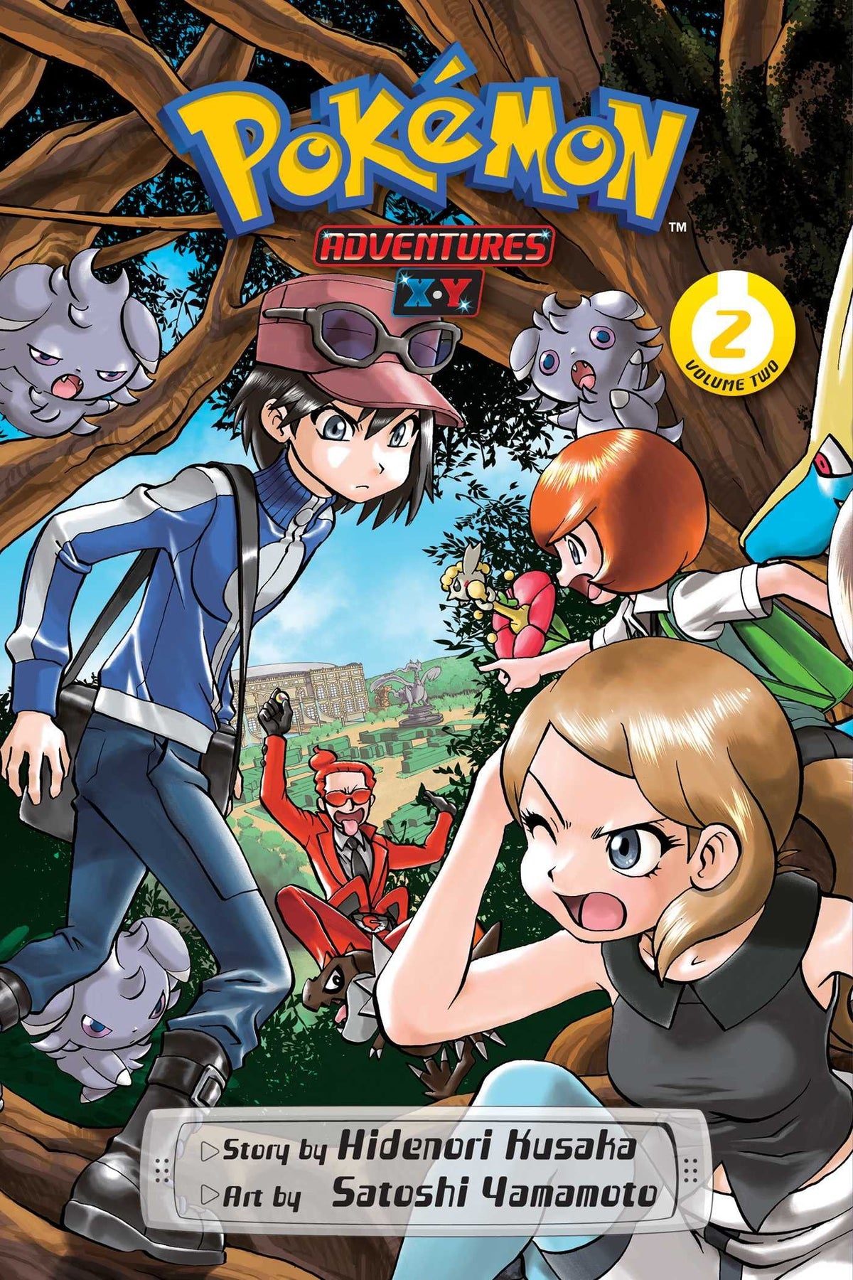 Pokemon Adv X Y GN Vol 02
