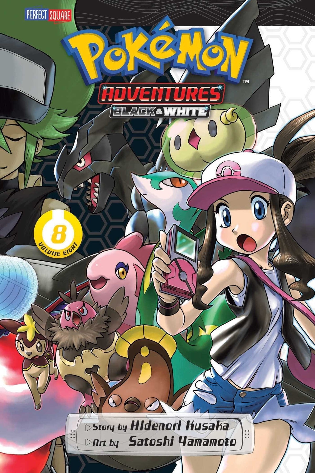 Pokemon Adv Black & White GN Vol 08