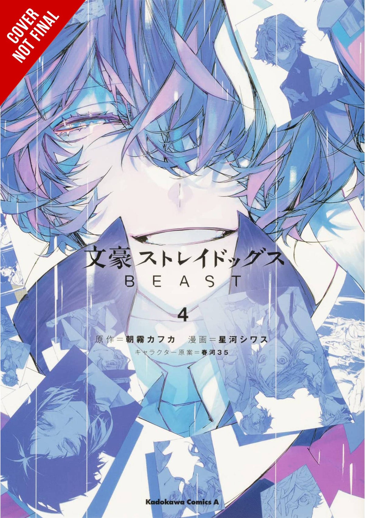 Bungo Stray Dogs Beast GN Vol 04 (Of 4)