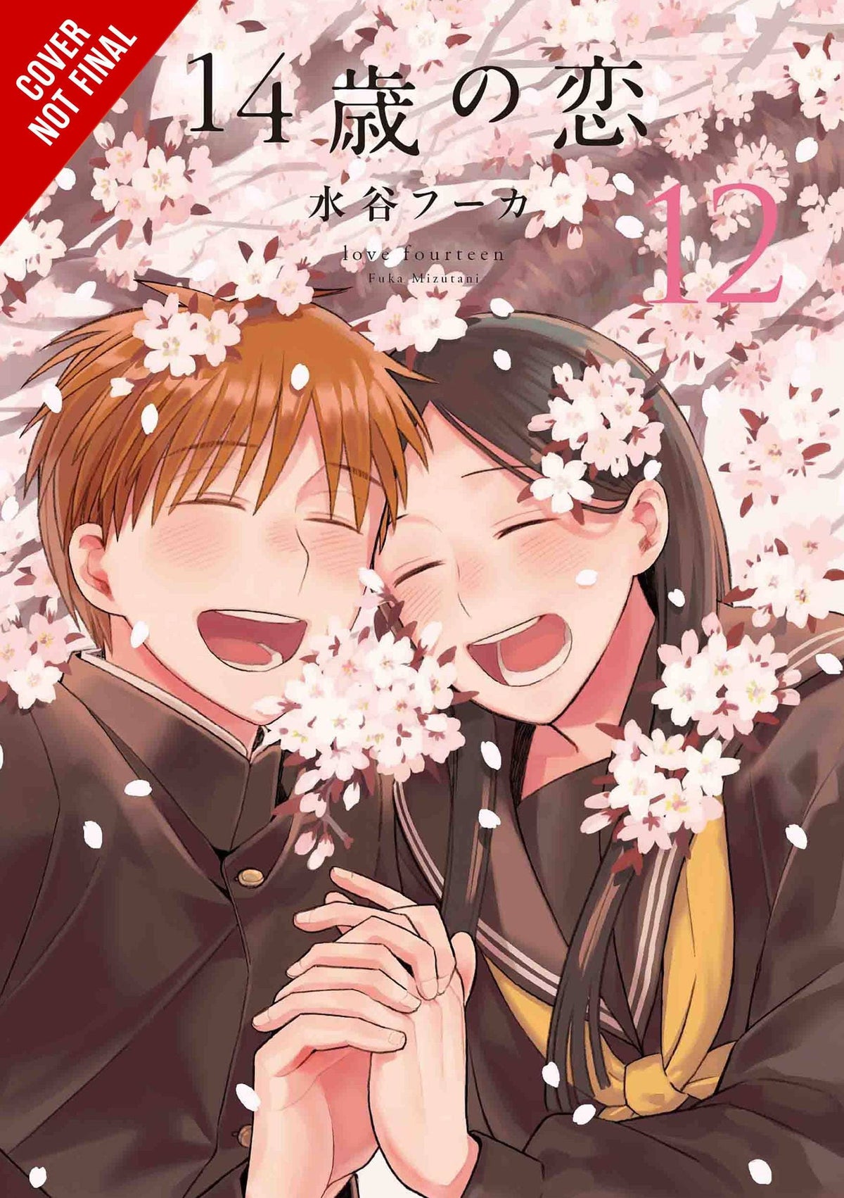Love At Fourteen GN Vol 12