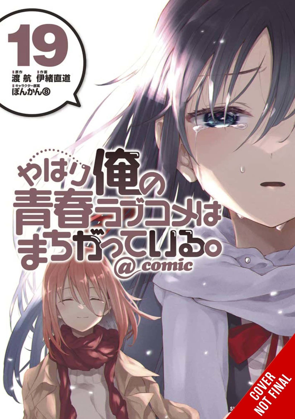 Youth Romantic Comedy Wrong Expected GN Vol 19