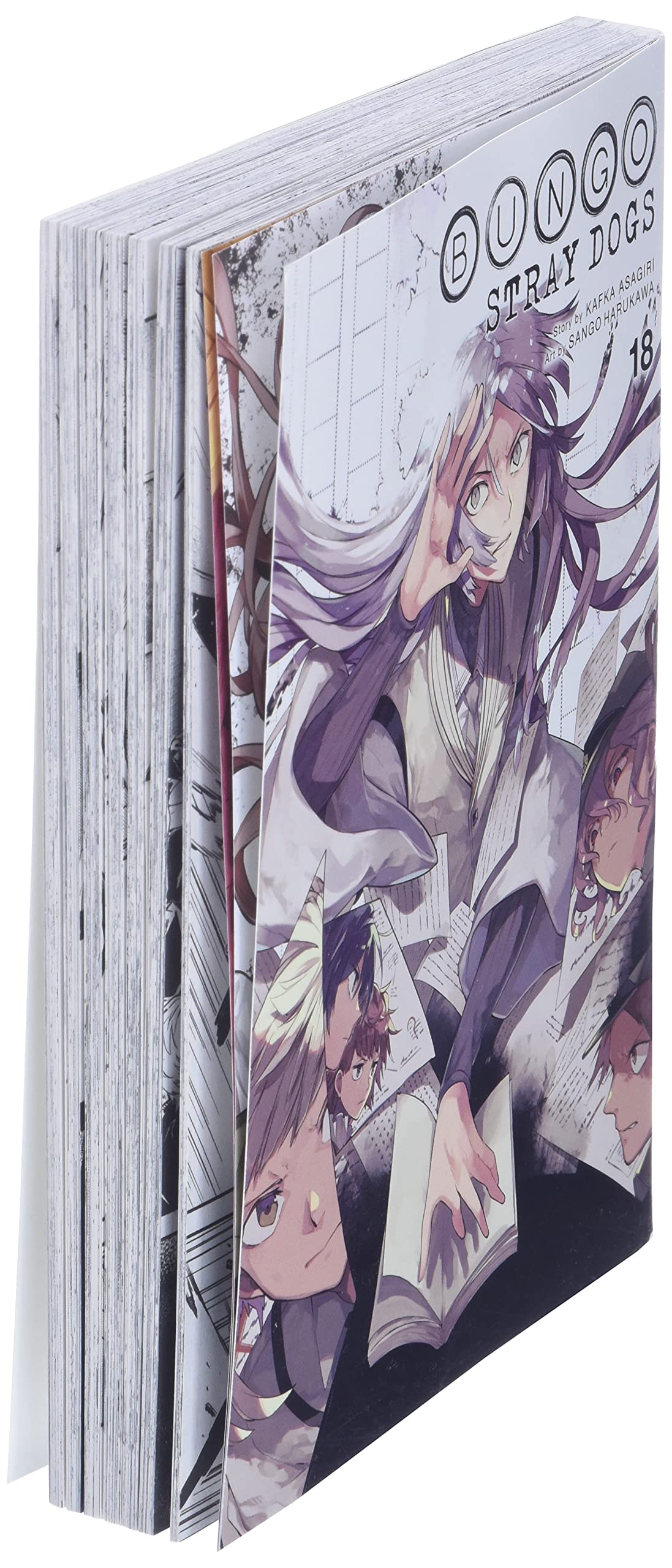 Bungo Stray Dogs GN Vol 18