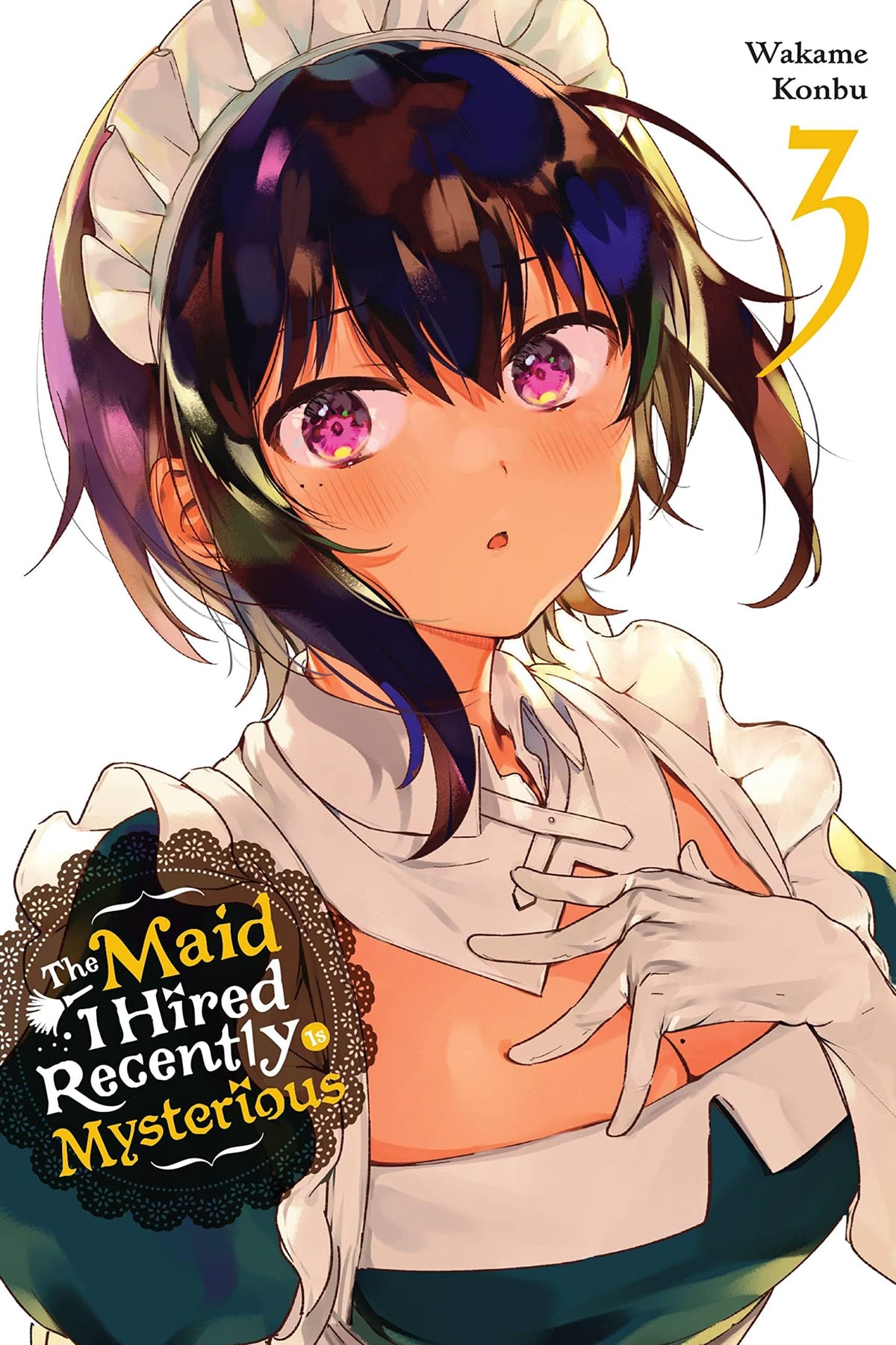 Maid I Hired Recently Is Mysterious GN Vol 03 (MR)