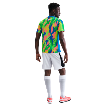 Nike Brazil Academy Pro Pre-Match Jersey