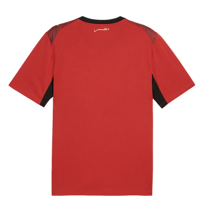 Puma Egypt 2026 Home Jersey