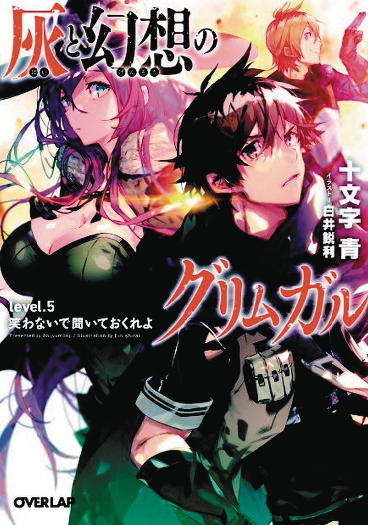 Grimgar Of Fantasy & Ash Light Novel Vol 05