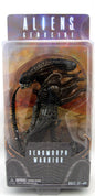 Aliens 7 Inch Action Figure Series 5 - Black Genocide Alien Warrior (Shelf Wear Packaging)