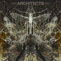 Architects - Ruin (Limited Edition, Picture Disc Vinyl)