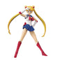 Pretty Guardian Sailor Moon Shfiguarts