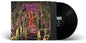 Embalmed In Decay [Explicit Content] - Carnal Tomb (Parental Advisory Explicit Lyrics)