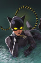 ABSOLUTE CATWOMAN #2 (OF 6) CVR B LESLEY LEIRIX LI CARD STOCK VAR