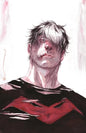 BATMAN CATWOMAN THE GOTHAM WAR RED HOOD #2 (OF 2) CVR B DUSTIN NGUYEN CARD STOCK VAR