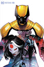 BATMAN URBAN LEGENDS #18 CVR B DIKE RUAN VAR
