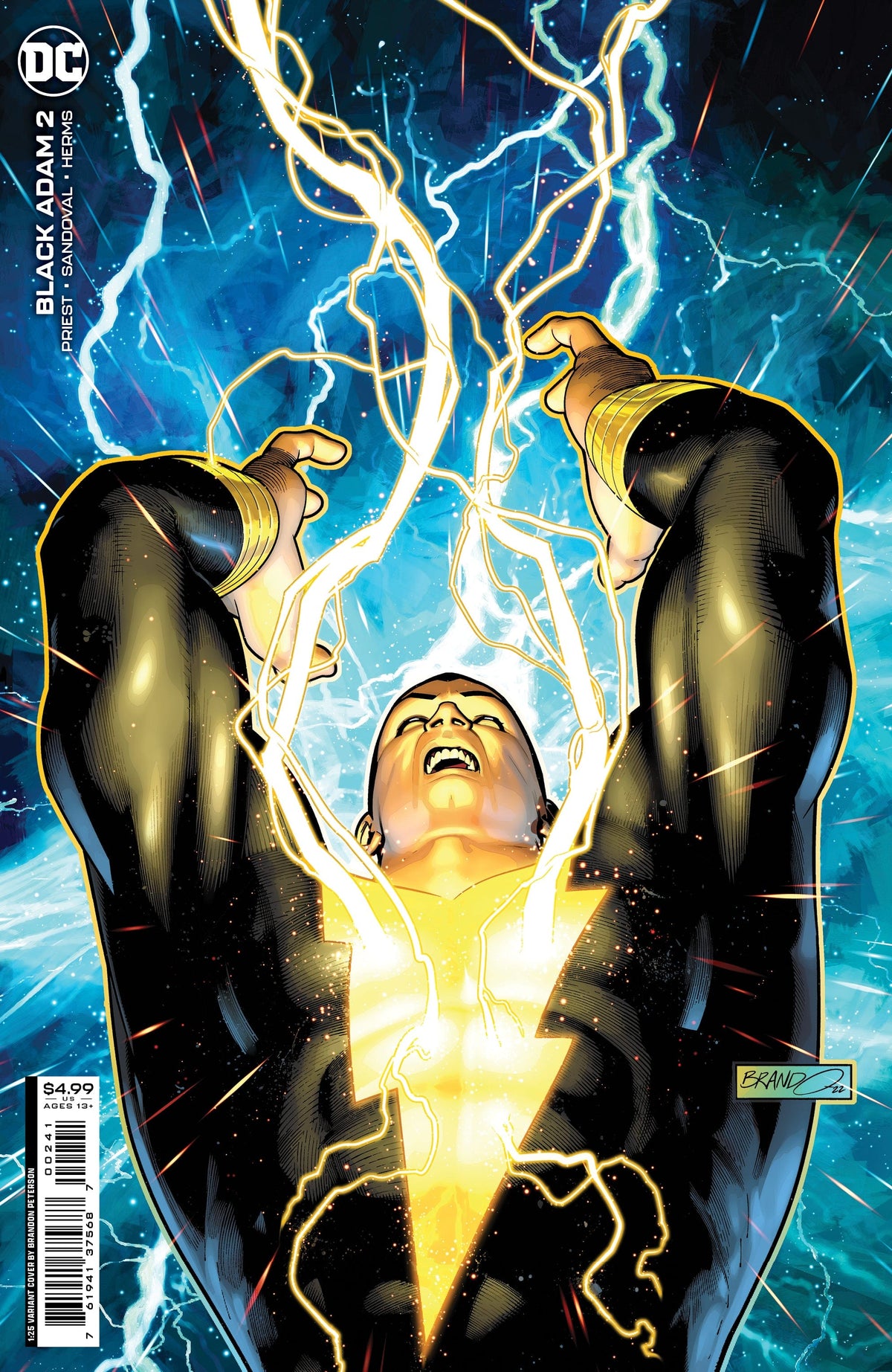 BLACK ADAM #2 CVR C BRANDON PETERSON CARD STOCK VAR