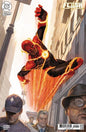 FLASH #22 CVR B EM GIST CARD STOCK VAR