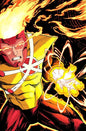 FURY OF FIRESTORM #4 (OF 8) CVR D ETHAN YOUNG CARD STOCK VAR