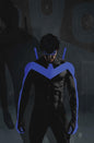 NIGHTWING #141 CVR B TIM BRADSTREET CARD STOCK VAR (Release Date: 08/19/2026)