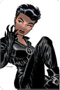 Catwoman TP Vol 01 Trail Of The Catwoman