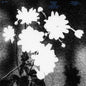 Loma Prieta - Last (Black and White Vinyl)