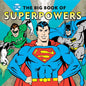 Dc Super Heroes Big Book Of Superpowers HC