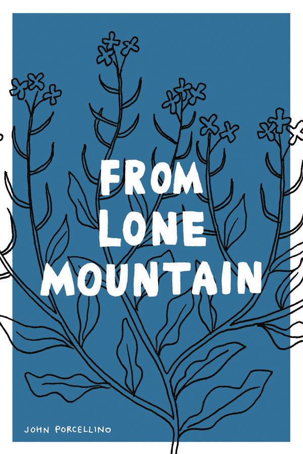 From Lone Mountain GN (MR)