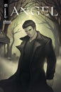 ANGEL #1 CVR D MEGHAN HETRICK VAR (Release Date: 08/19/2026)
