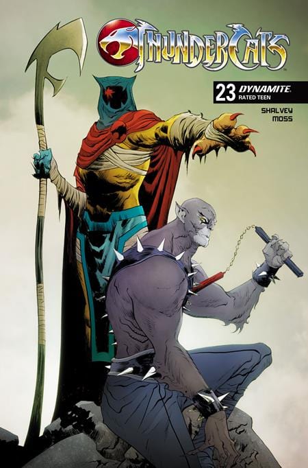 THUNDERCATS #23 CVR C JAE LEE VAR